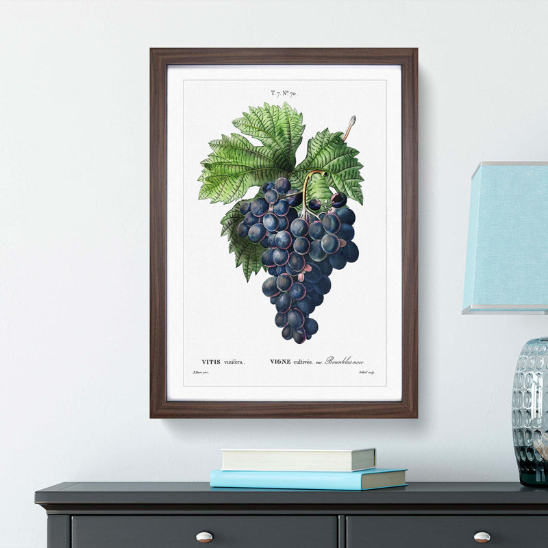 Blue Grapes by Pierre-Joseph Redoute - Picture Frame Graphic Art Print, 65cm H x 48cm W x 2cm D, Walnut Framed