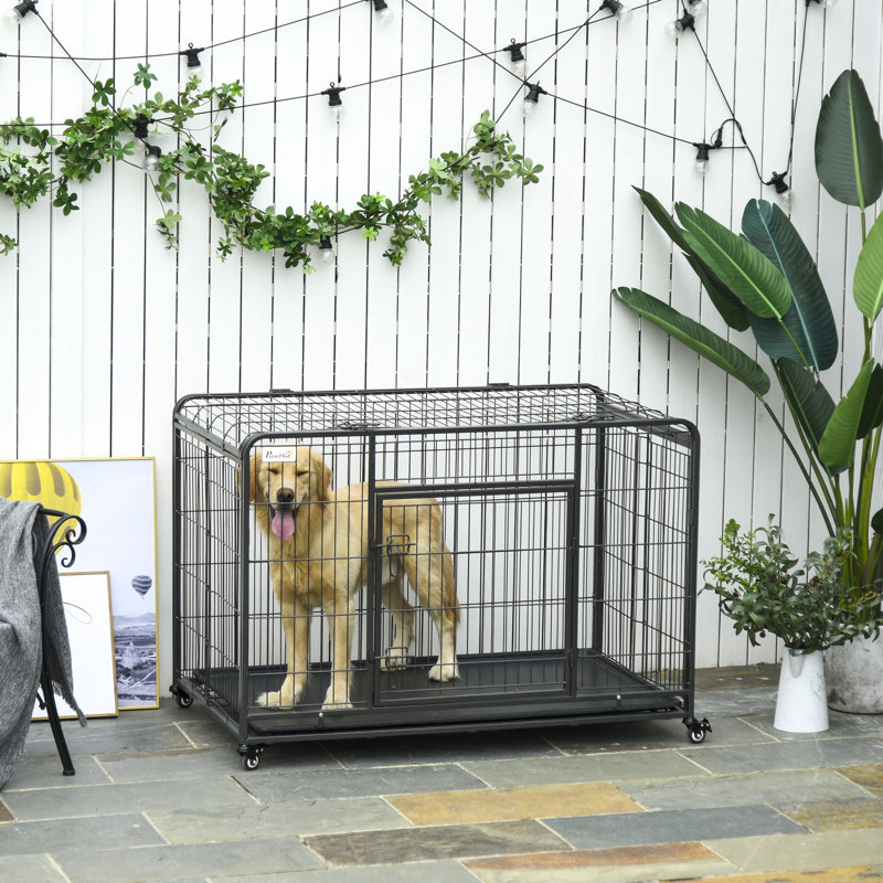 Collapsible Pet Crate with 1 Door, 73.03cm H x 118.75cm W x 74.3cm D