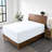 24" Extra Deep Pocket Microfiber Fitted Sheet-87081216-87081213