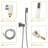 Brushed Nickel 16 Inch Dual Shower Head, Ceiling Mounted Appearance Head With Mount In