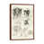 Classic Brown Wood Framed is unavailable