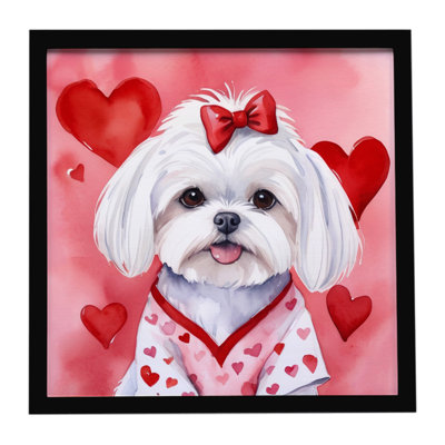 «Maltese My Valentine», impression sur métal encadrée