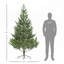 Arbre de Noël réaliste en cèdre de 6,4 pi avec 1933 pointes, assemblage facile et conception ignifuge pour la maison et le bureau