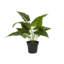 Plante à feuillage artificiel en pot