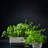 Cole & Mason Burwell Self-watering Potted Herb Keeper Triple