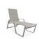 Holna Outdoor Rust-Resistant Metal Chaise Lounge