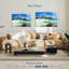 Gillard Scenic, Iles Vierges anglaises-108704918