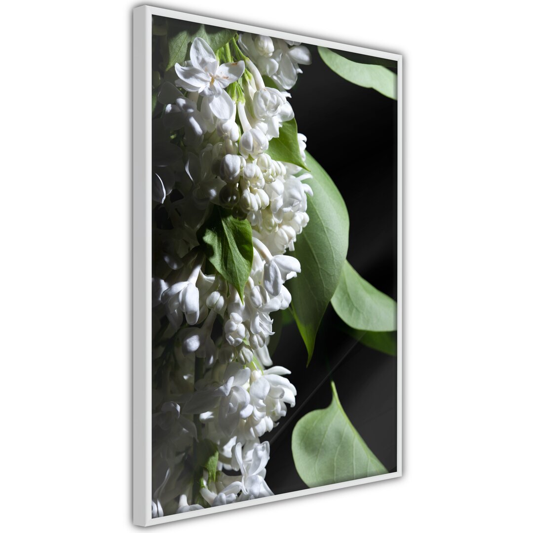 Gerahmter Fotodruck Fragrant Spring