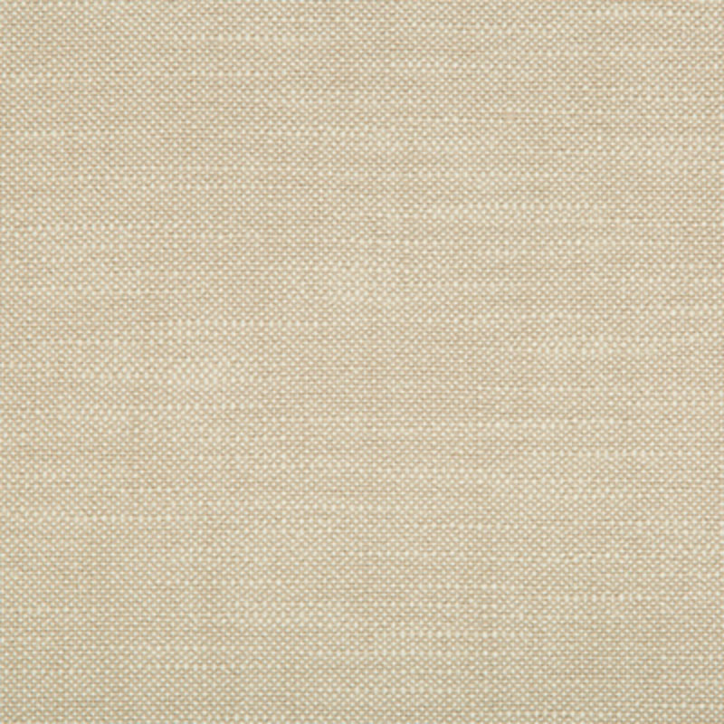 Performance Crypton Home Fabric