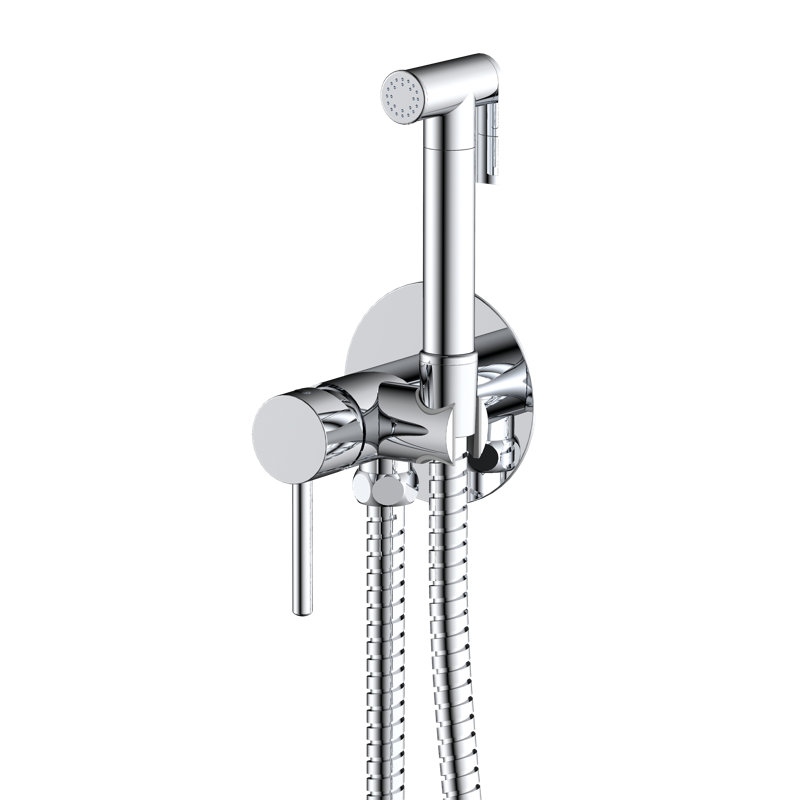Queenscliff Rain Handheld Shower Head