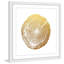 Amanda Greenwood - Single Picture Frame Print-17782657
