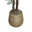 Organic Modern 4.5' Faux Moringa Tree