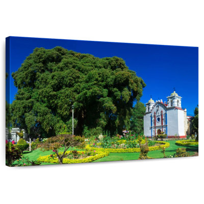 Adella Mexico's El Tule Tree