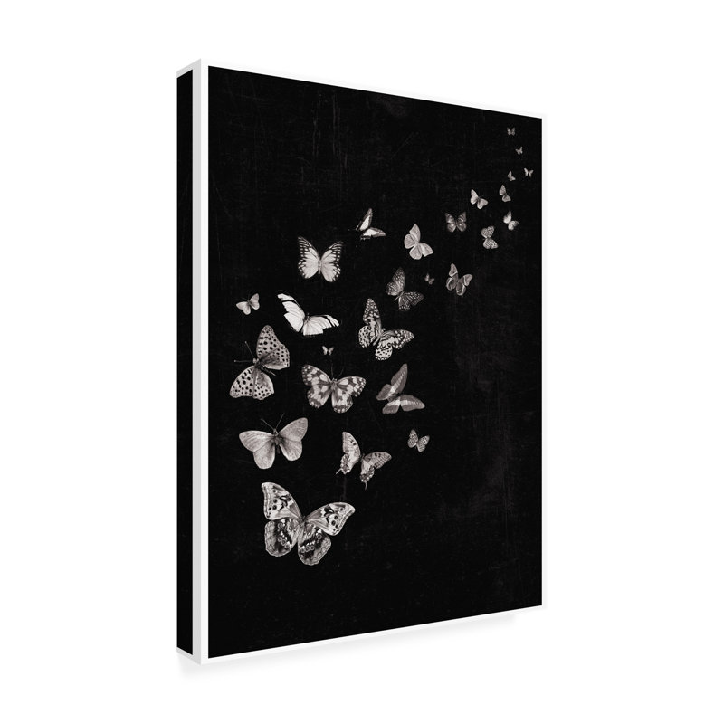 Animaux qui volent des papillons en noir et blanc, H 19 po x l 14 po x P 2 po
