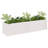 Olyve Wood Planter-2018289002-2018289003