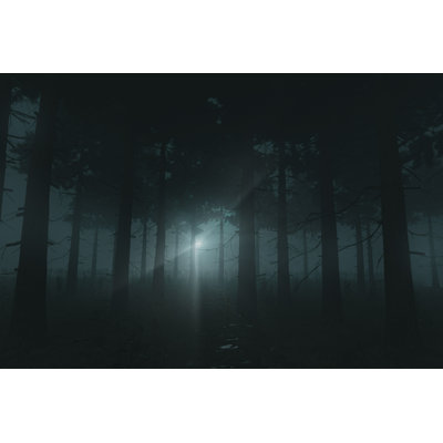 " 3D Rendering Of Pine Forest "