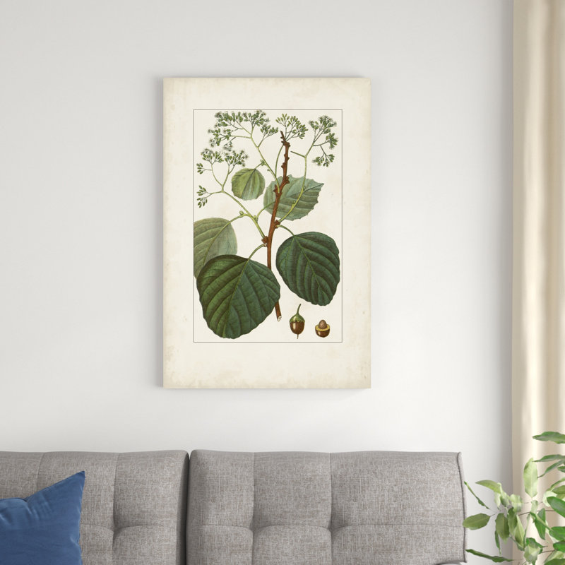 Antique Turpin Botanical IV, H 36 po x l 24 po