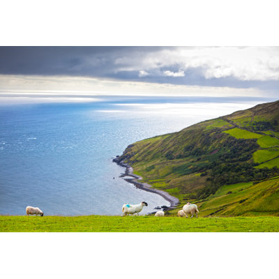 North Ireland Seascape by Lucafabbian - Wrapped Canvas Print