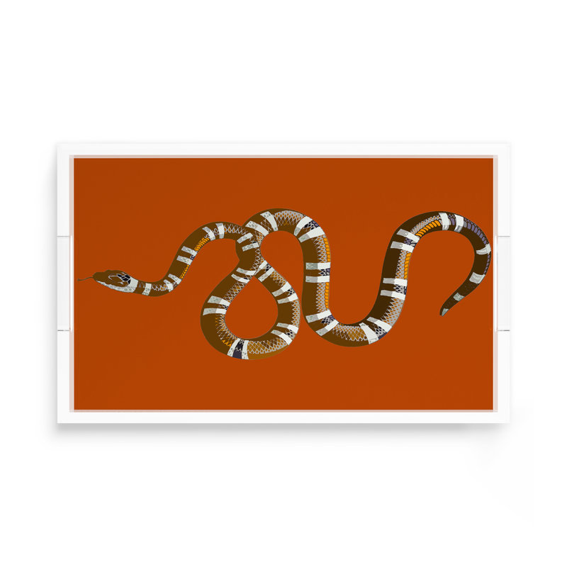 Plateau décoratif serpent en acrylique, Orange brûlé, L 17 po x P 10,5 po x H 2 po