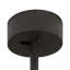 Tall Pines Downrod Ceiling Fan