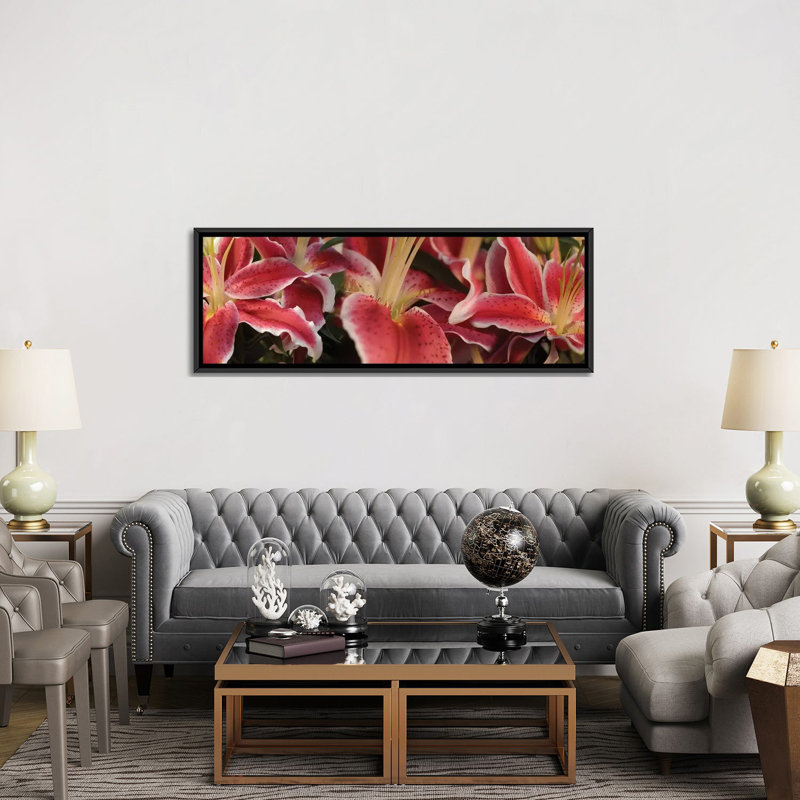 Gros plan sur les fleurs de lys Stargazer par Panoramic Images - Impression sur toile tendue sur châssis