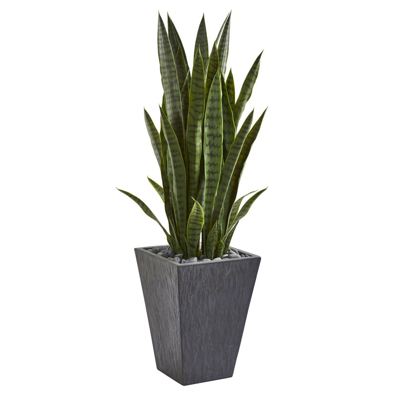 45 " H Faux Snake Plant Succulent