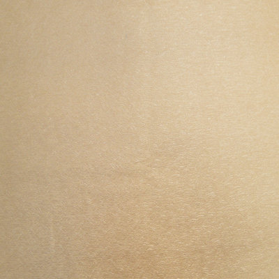 Tissu de colon