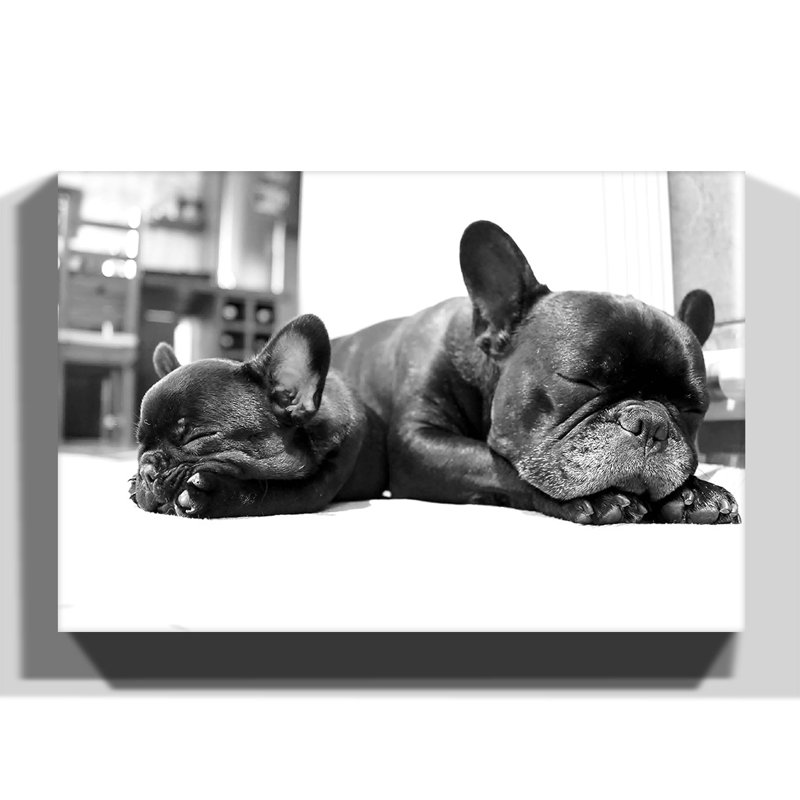 Wrapped Canvas Print, 50cm H x 76cm W