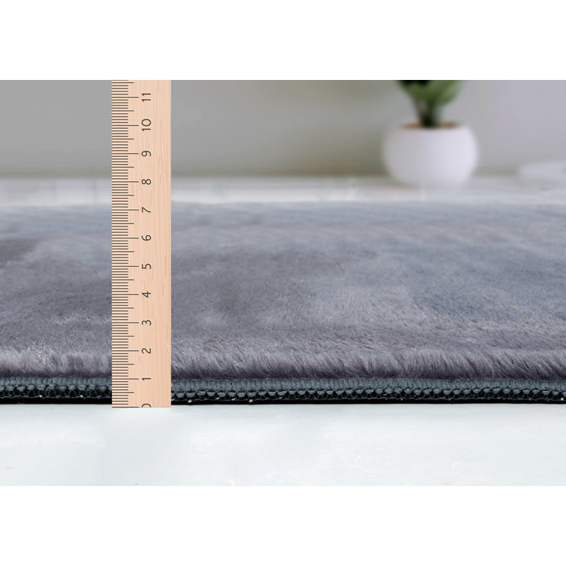 Schnabel Solid Colour Area Rug, Rectangular 70 x 140cm