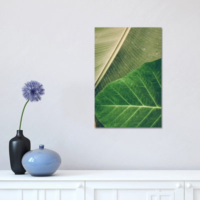 Leaves I 1 Piece Wrapped Canvas Wall Art