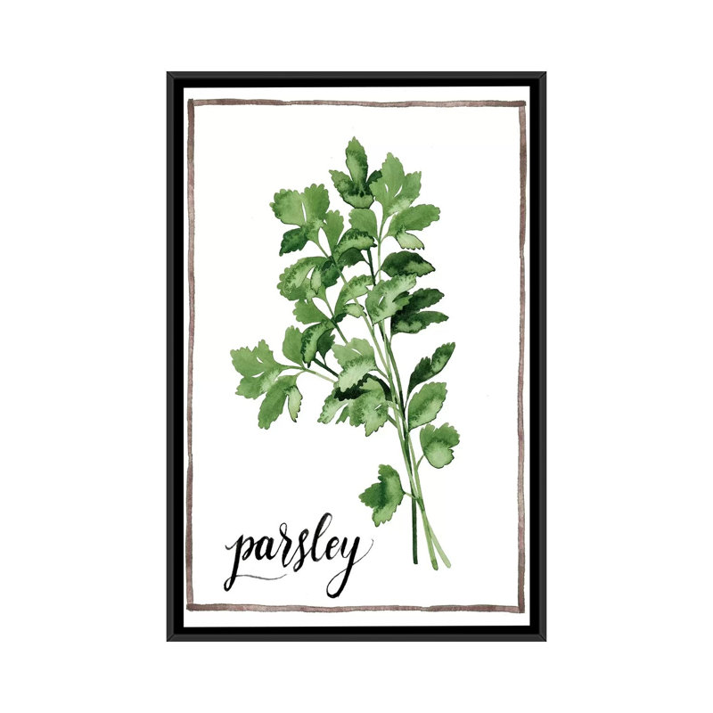 " Watercolor Herbs II " by Grace Popp, 26" H x 18" W x 1.5" D, Black Framed Canvas, No Mat