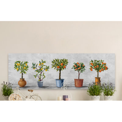 « photo lot de plantes »-impression sur toile tendue