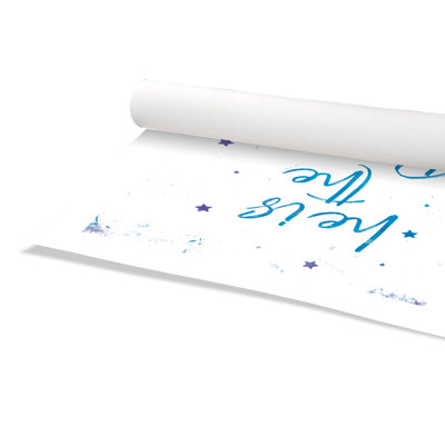 Rolled Prince Paper Print