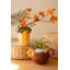  Ensemble de 2 vases en céramique inspirés des cocktails H 6 po