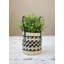 KitchenCraft Seagrass Plant Basket with Handles, Black & Grey Striped Design