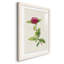 «Pretty Botanicals II», cadre photo-341834863-341834861