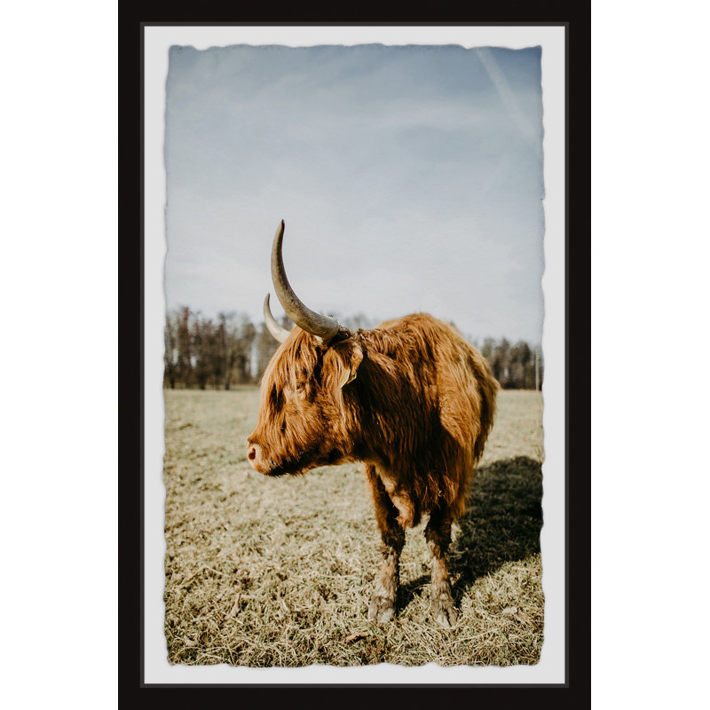 Illings Print
