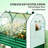 Spacious Raised Garden Bed,Flower Boxs,Outdoor Plant Boxs-215566857