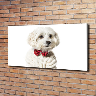 Maltese in a Bow Tie 1 Piece Wrapped Canvas Wall Art