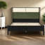 Modern Queen Beds Frame, Black Green Wood, Spacious Bedroom