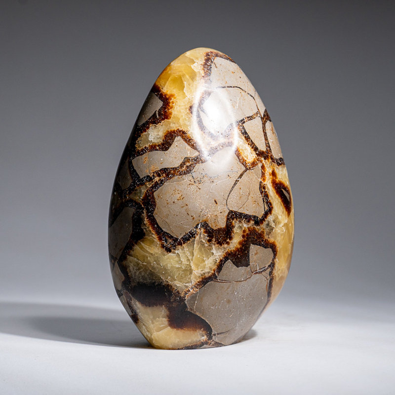 Polished Septarian Freeform from Madagascar (2.3 Lbs), 5" H x 3.5" W x 2" D