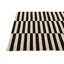 Petrella Black and White Rug