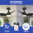 Timbrell 26'' Ceiling Fan with LED Lights-907676283