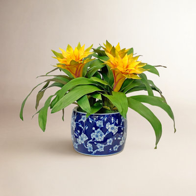 Arrangement in Vase