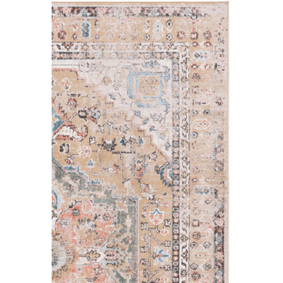 Dhru Performance Oriental Rug