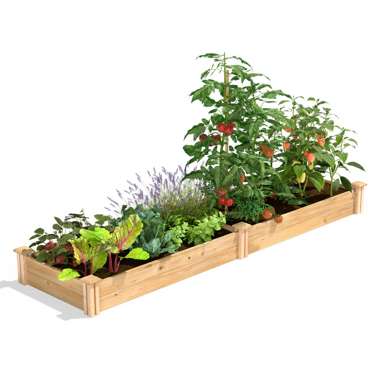 Katsuyoshi Wood Raised Garden Bed, 7" H x 96" W x 24" D, Cedar