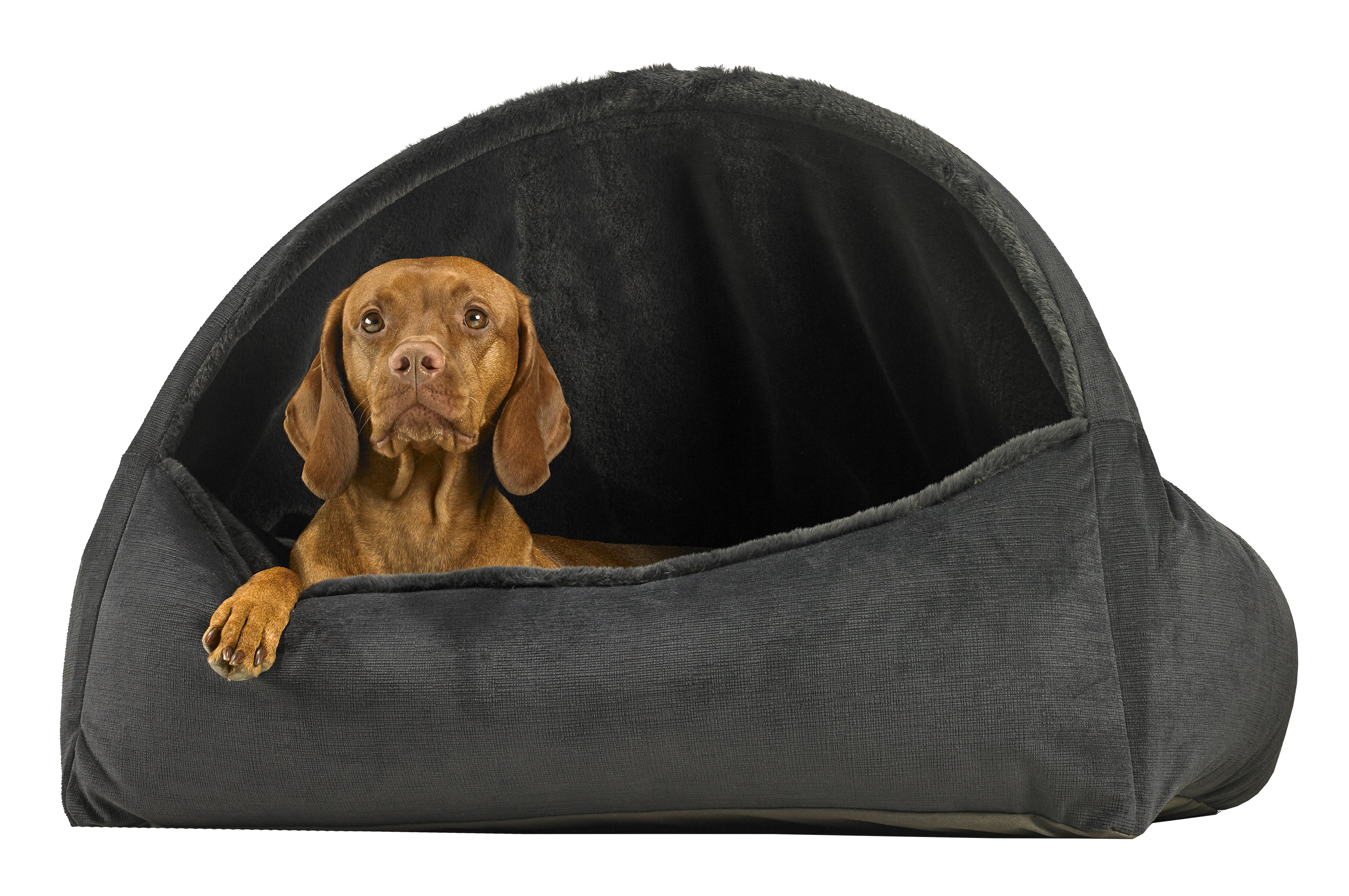 Xl best sale dog cave