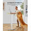 Commercial Use Height Adjustable Rectangular Standing Desk-110950022-123184097