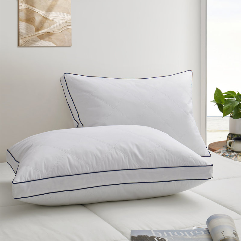 Oreillers de qualité supérieure en duvet d'oie et en duvet (ensemble de 2) - Coquille 100% coton respirante, coussins décoratifs moelleux