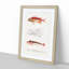 Fish Illustrations PL. 2 by Charles d' Orbigny - Picture Frame Graphic Art Print-55609243-55609244
